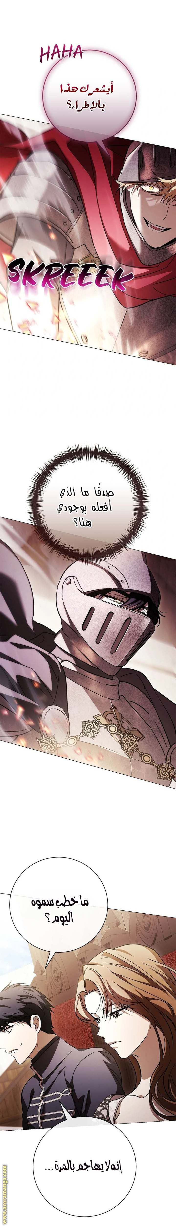 الصفحة 17