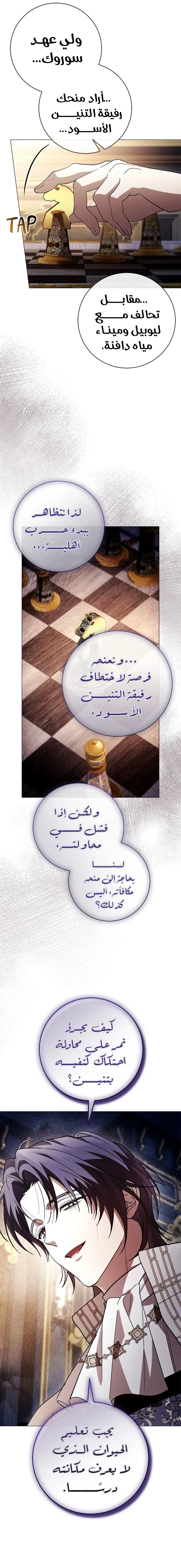 الصفحة 24