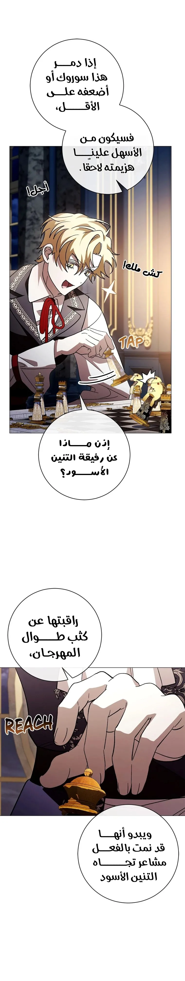الصفحة 25