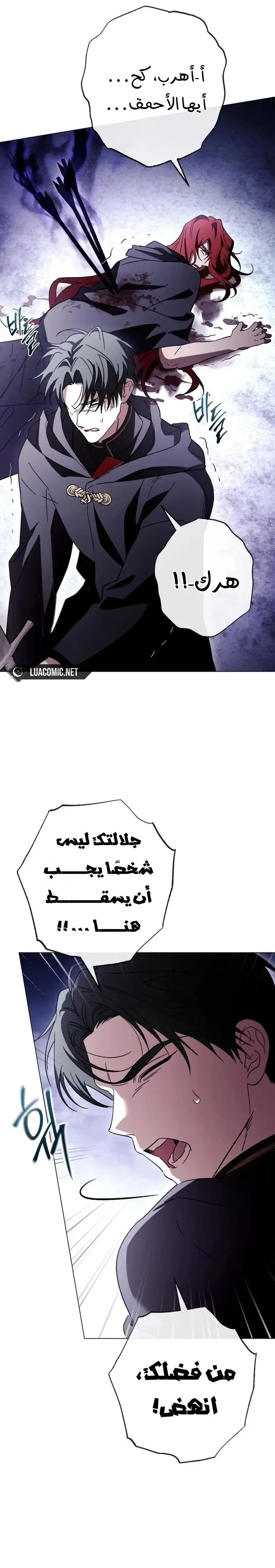الصفحة 17