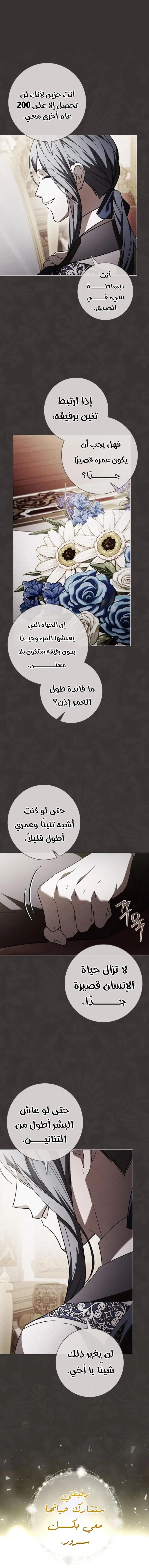 الصفحة 28