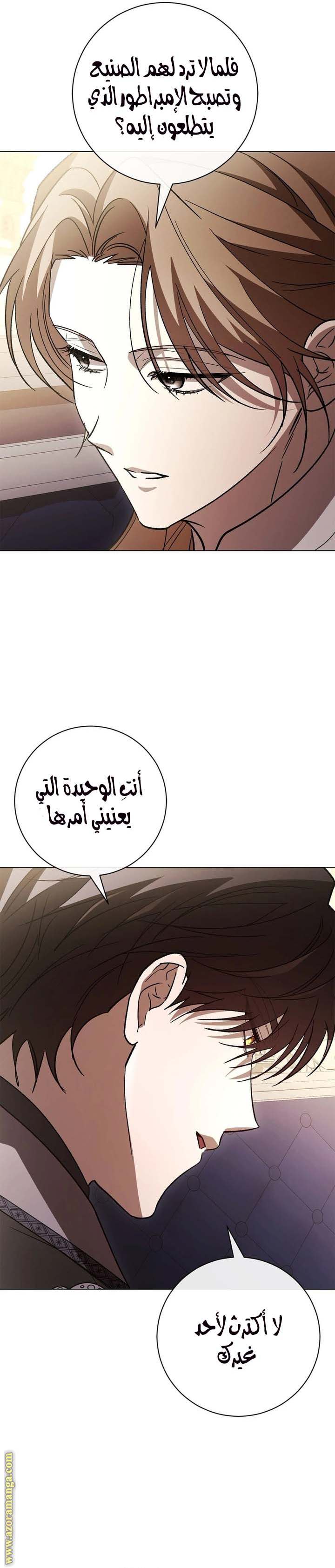 الصفحة 17