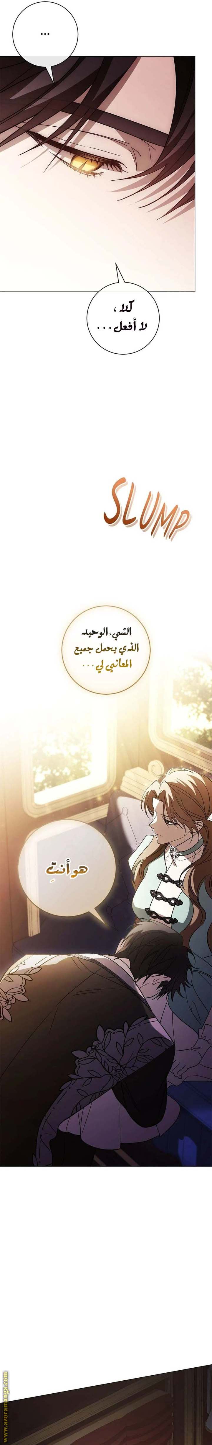الصفحة 25