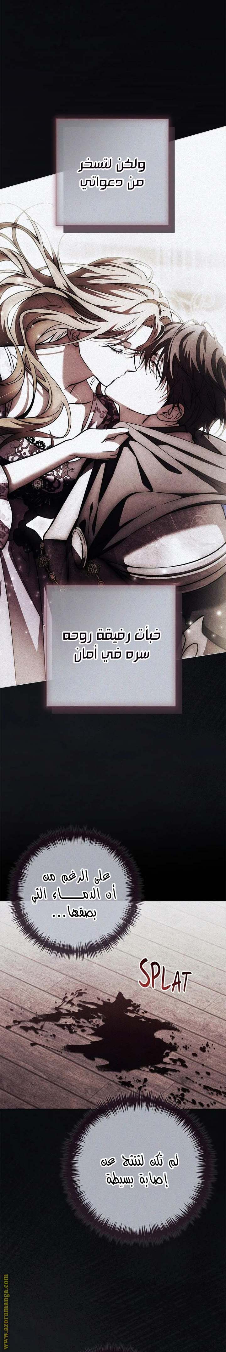 الصفحة 29
