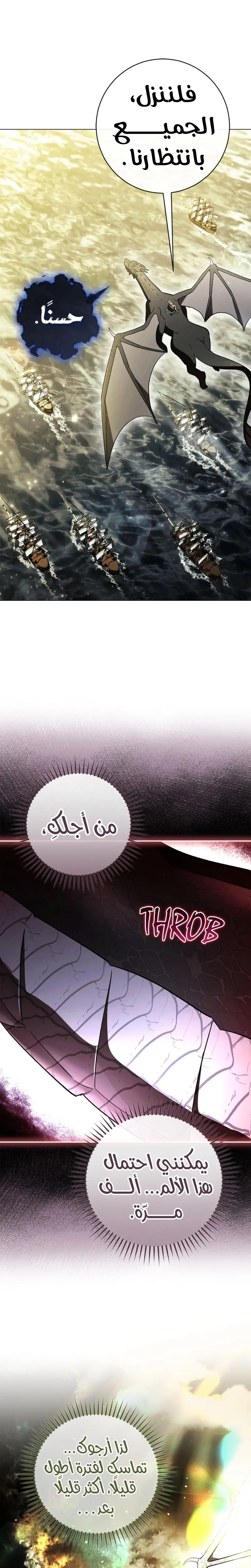 الصفحة 27