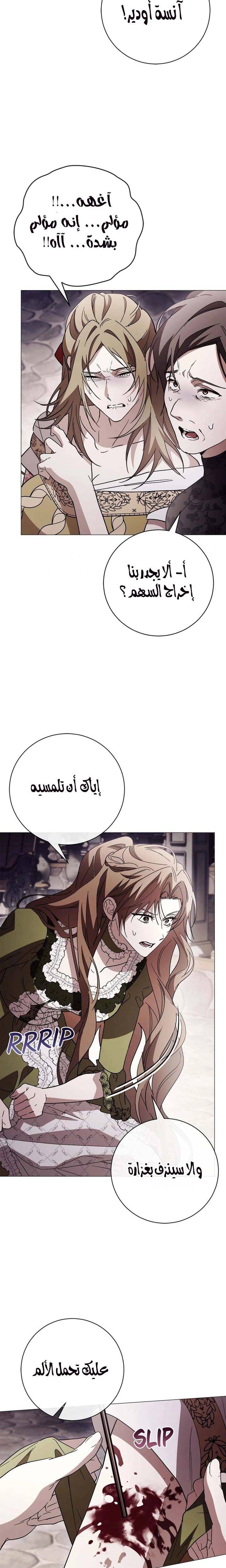 الصفحة 12