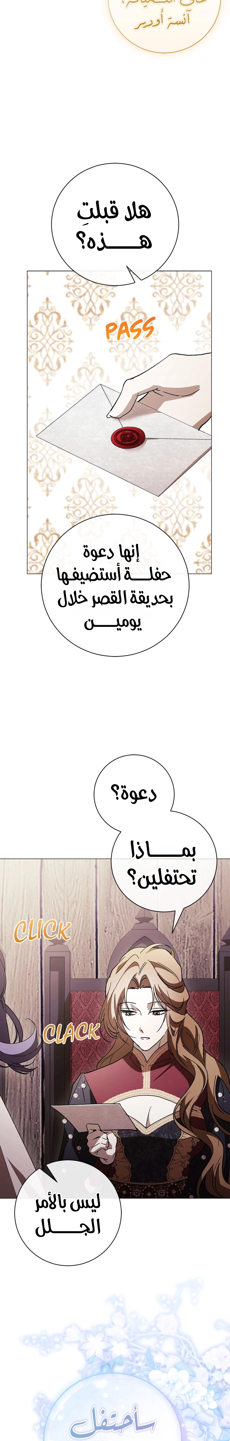 الصفحة 17