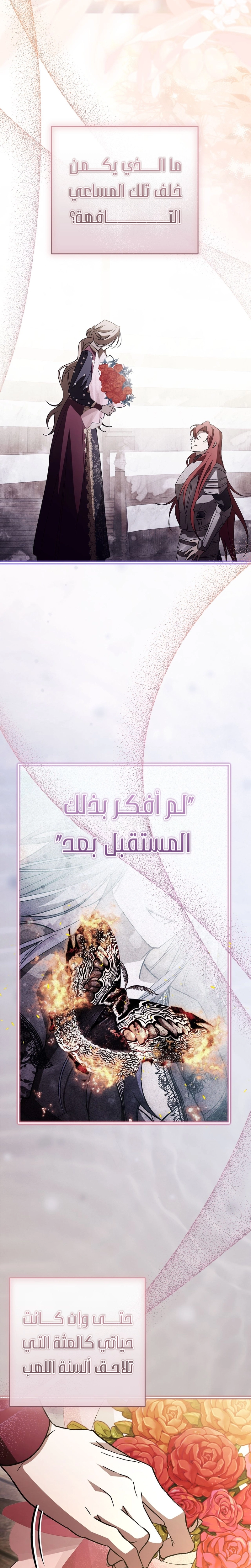 الصفحة 25