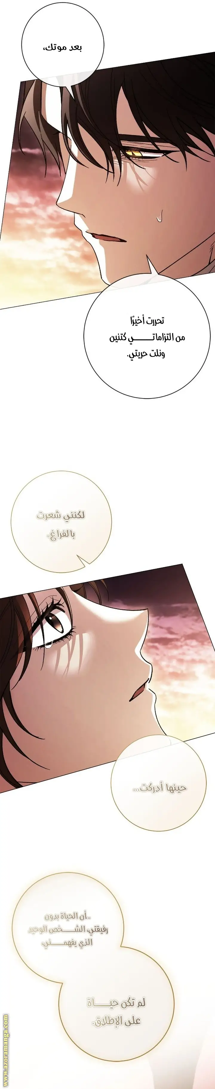 الصفحة 17