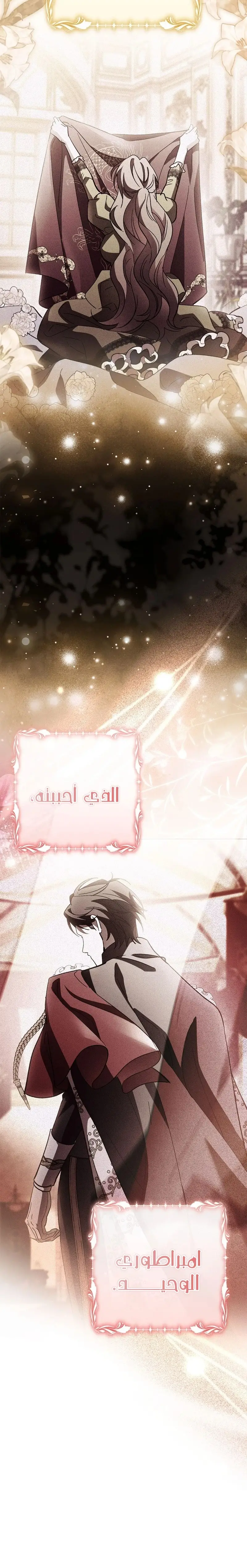 الصفحة 28