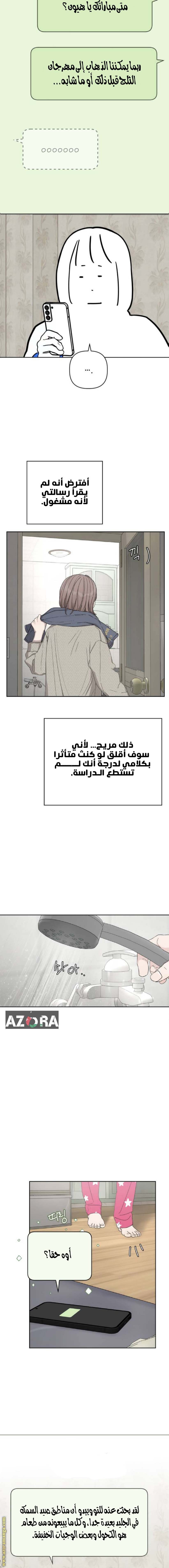 الصفحة 14