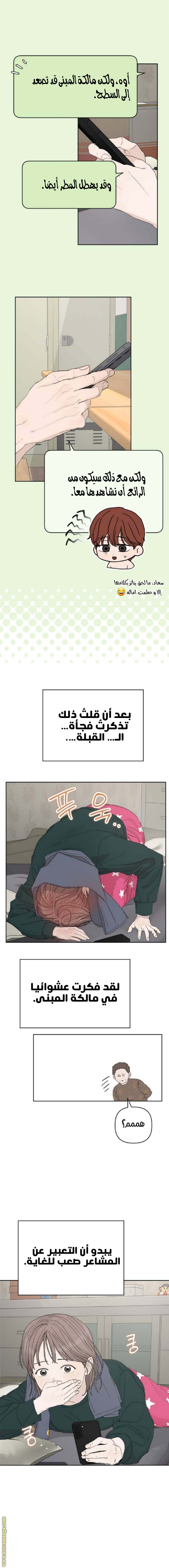 الصفحة 17