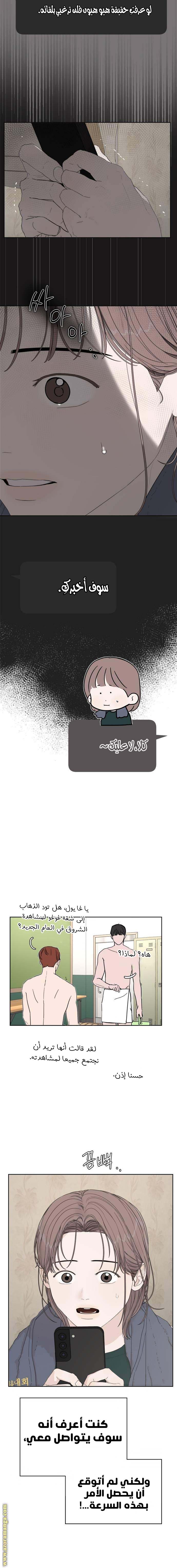 الصفحة 19