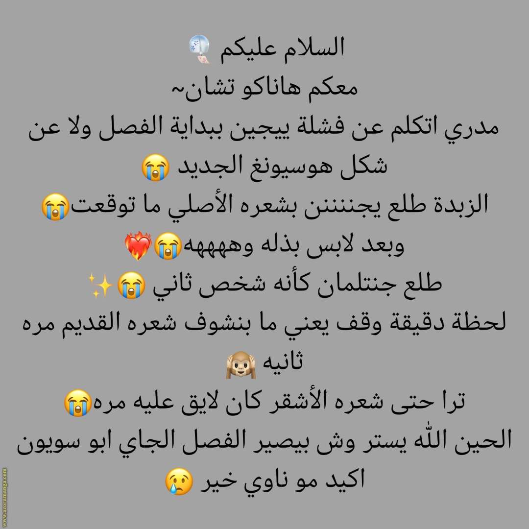 الصفحة 20