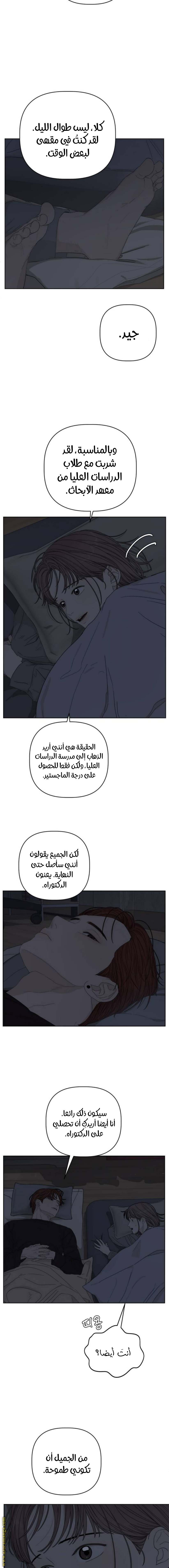 الصفحة 13