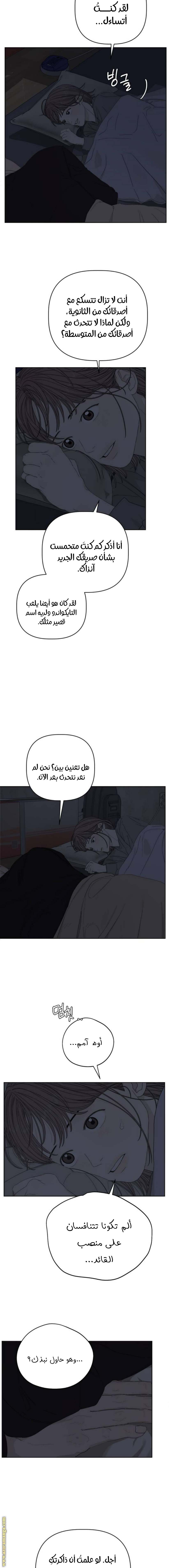 الصفحة 17