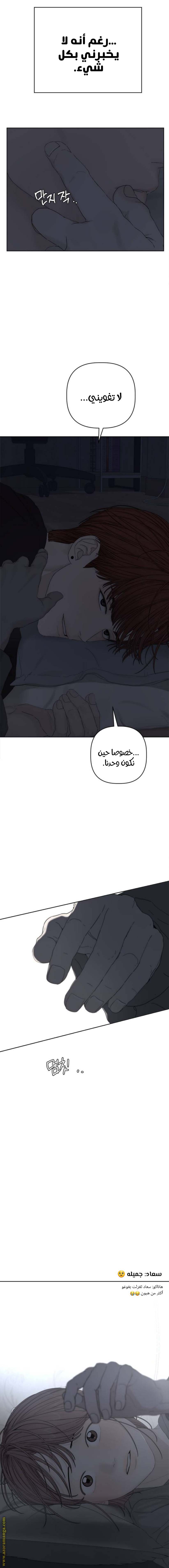 الصفحة 19