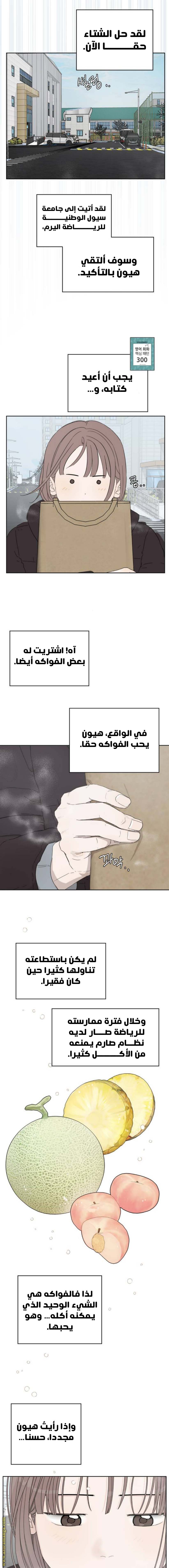 الصفحة 19