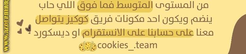 الصفحة 3