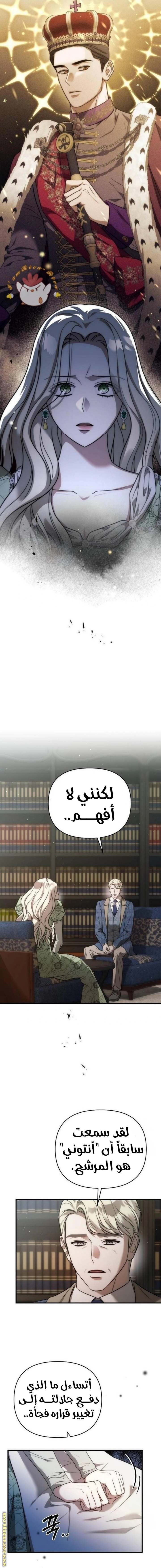الصفحة 3