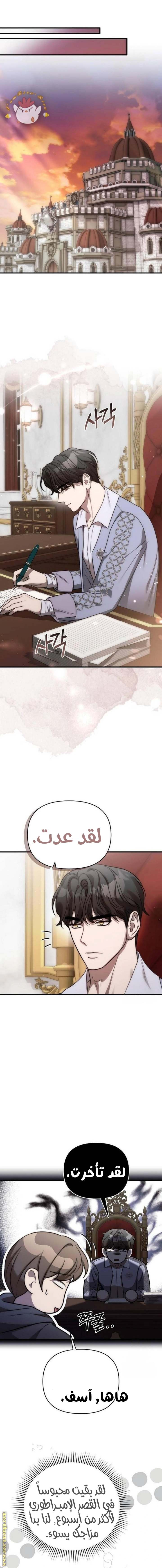 الصفحة 12