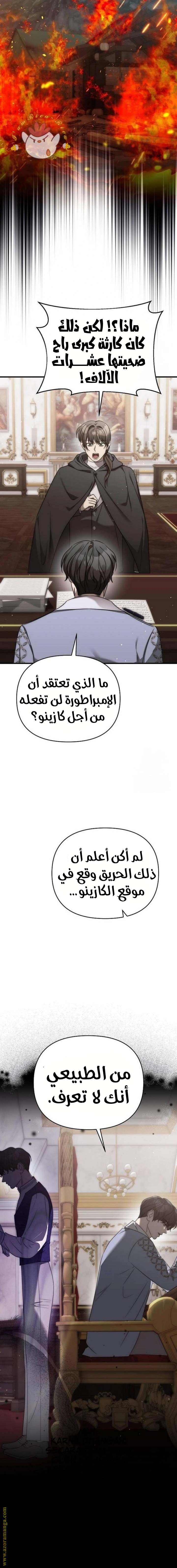 الصفحة 17