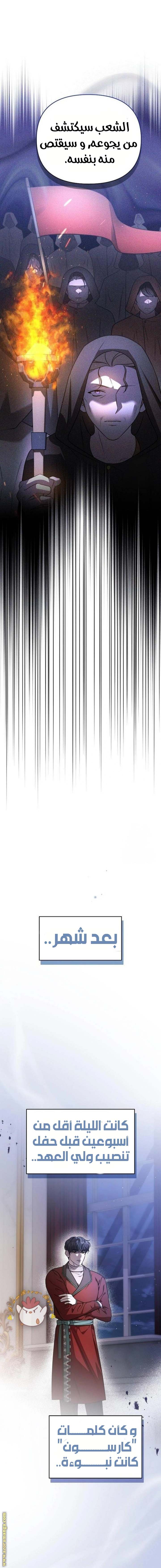 الصفحة 20