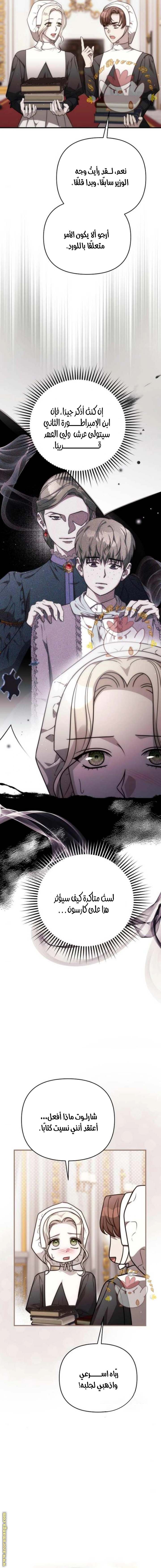 الصفحة 15