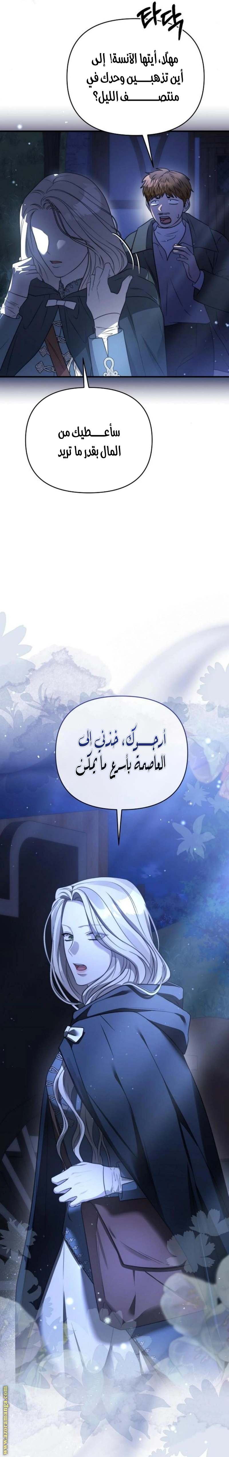 الصفحة 25