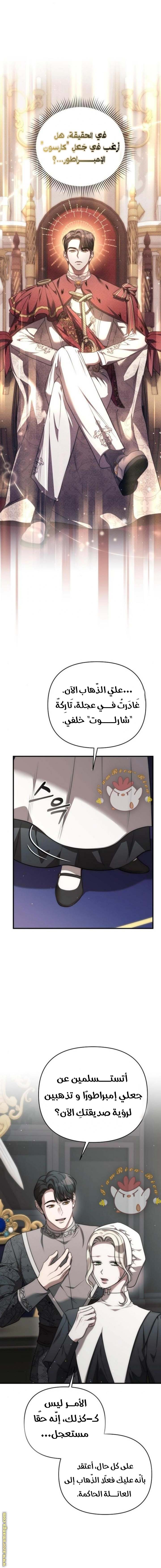 الصفحة 13