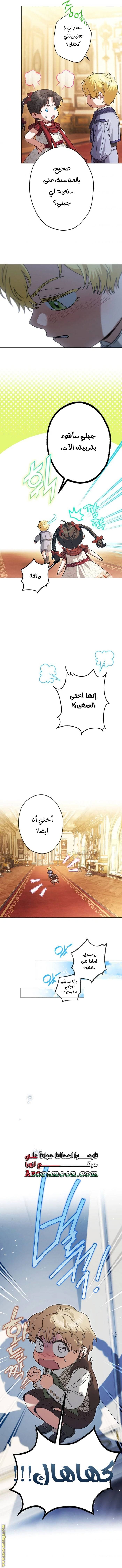 الصفحة 11