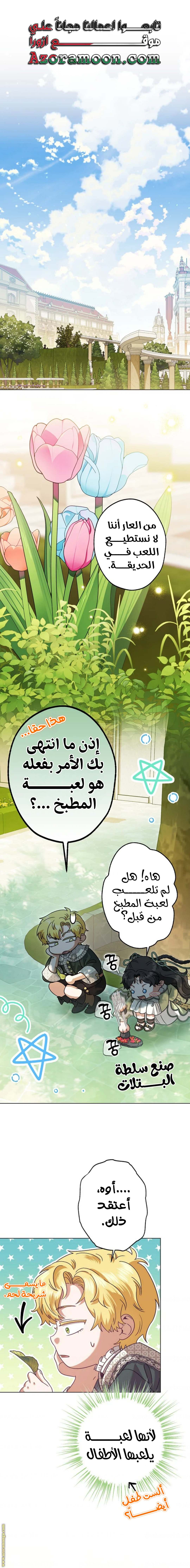 الصفحة 17