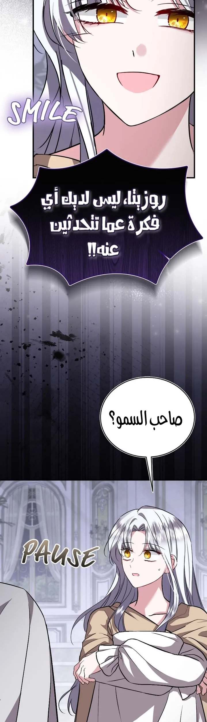 الصفحة 20