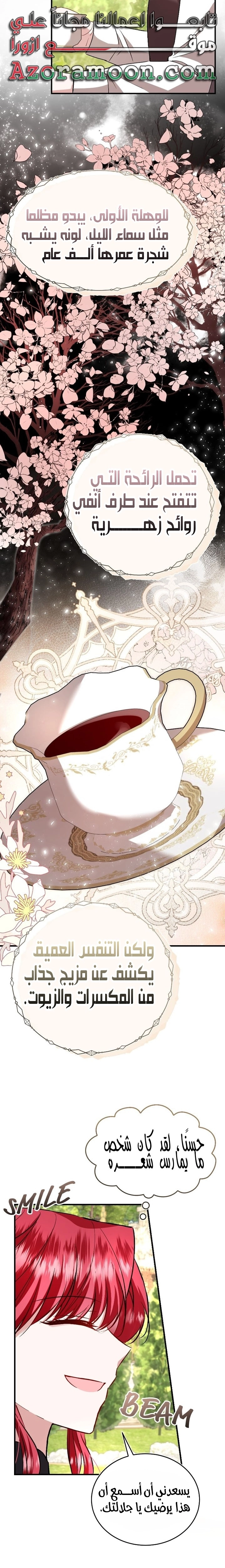 الصفحة 13