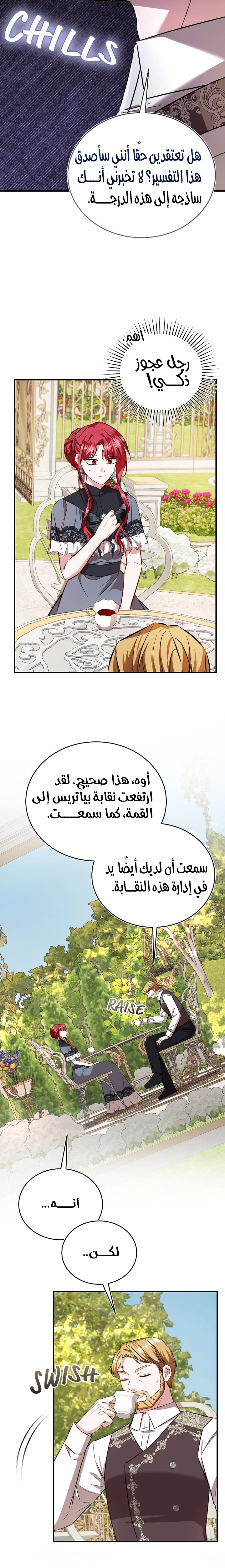 الصفحة 17