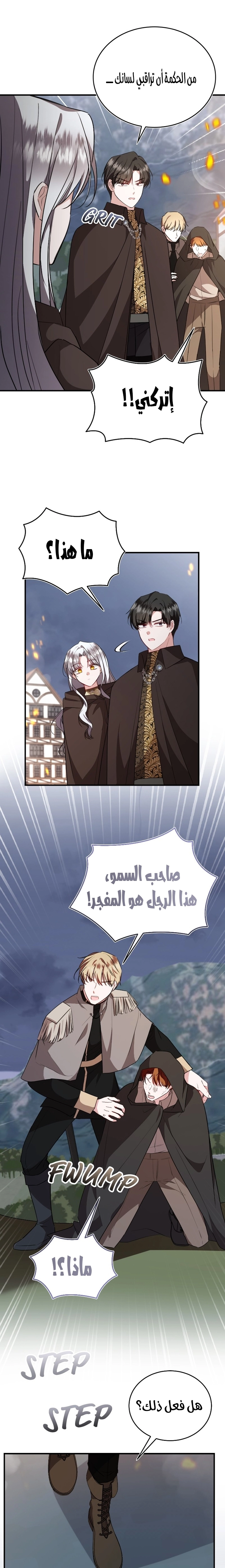 الصفحة 17