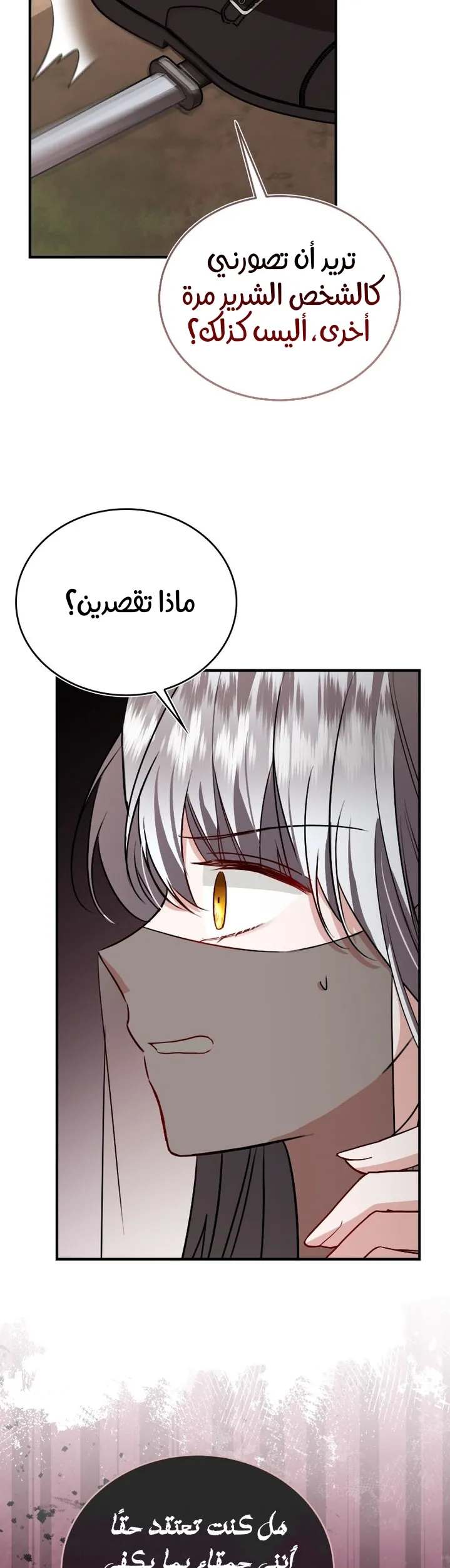 الصفحة 41