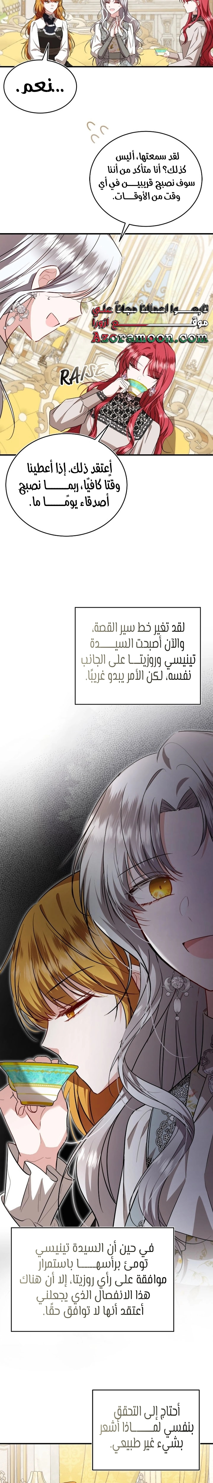 الصفحة 17