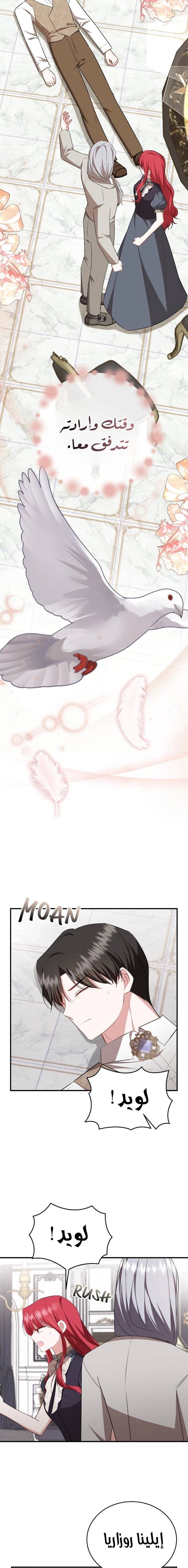 الصفحة 12