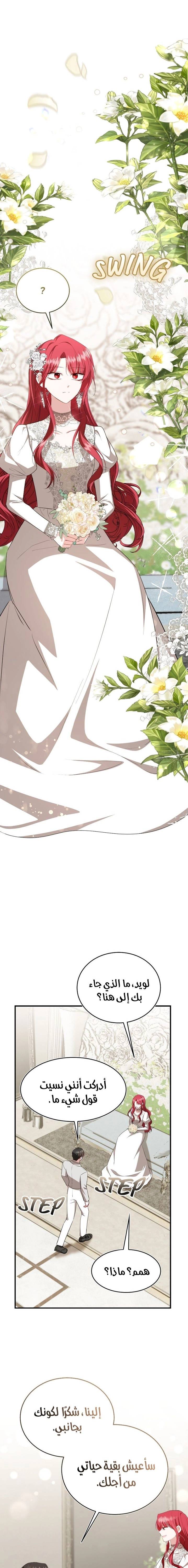 الصفحة 20