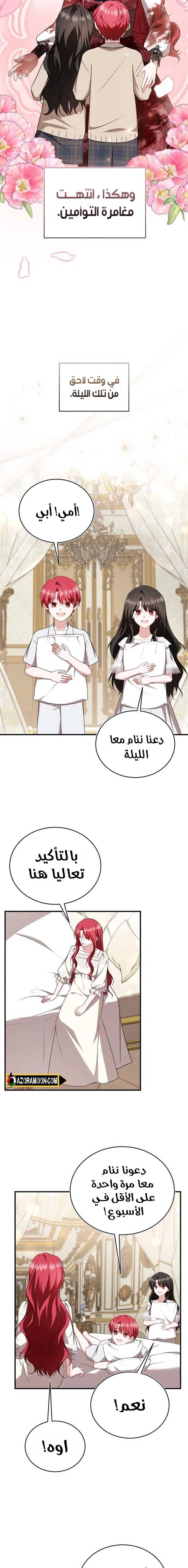 الصفحة 17