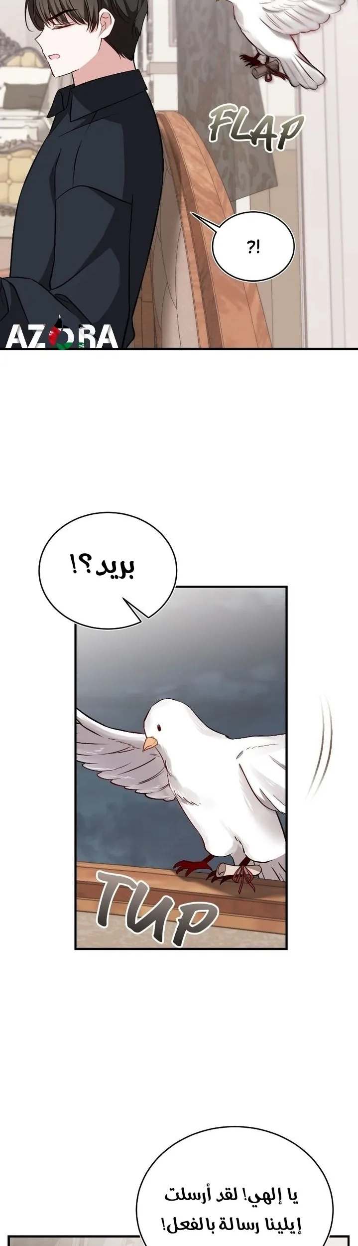 الصفحة 20