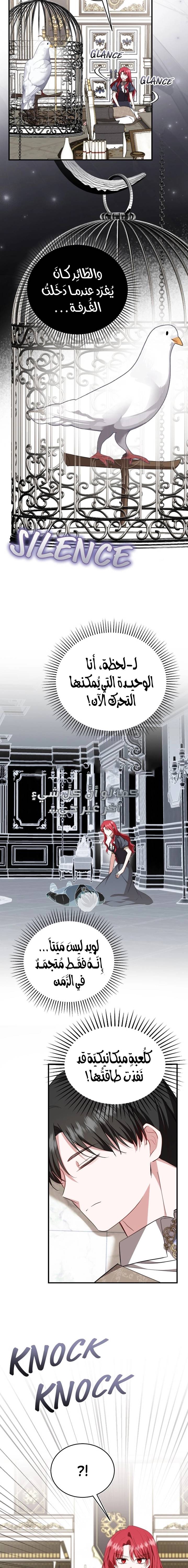 الصفحة 17