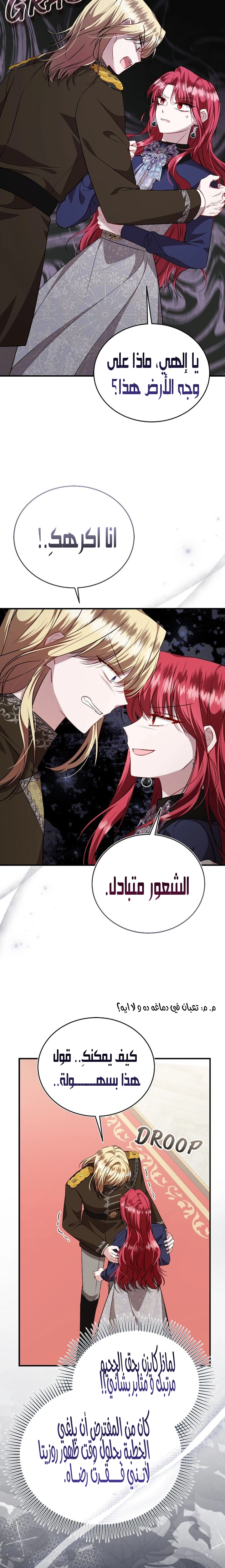 الصفحة 17