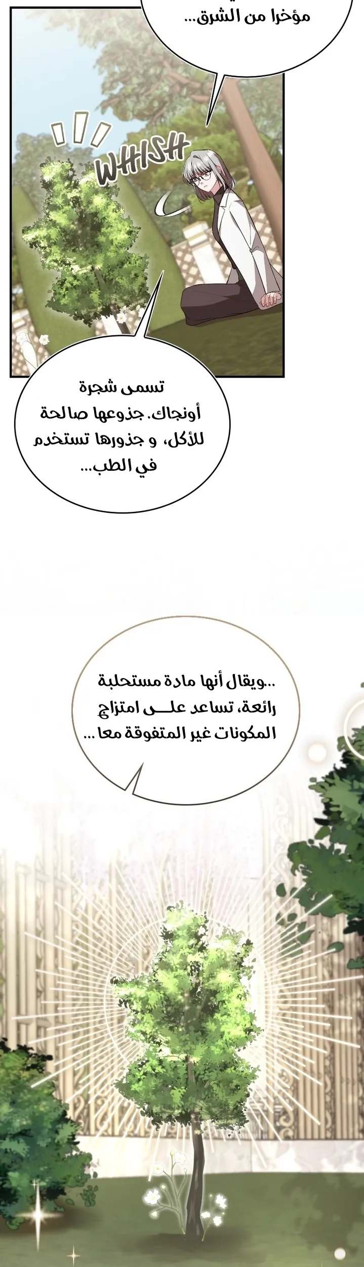 الصفحة 39