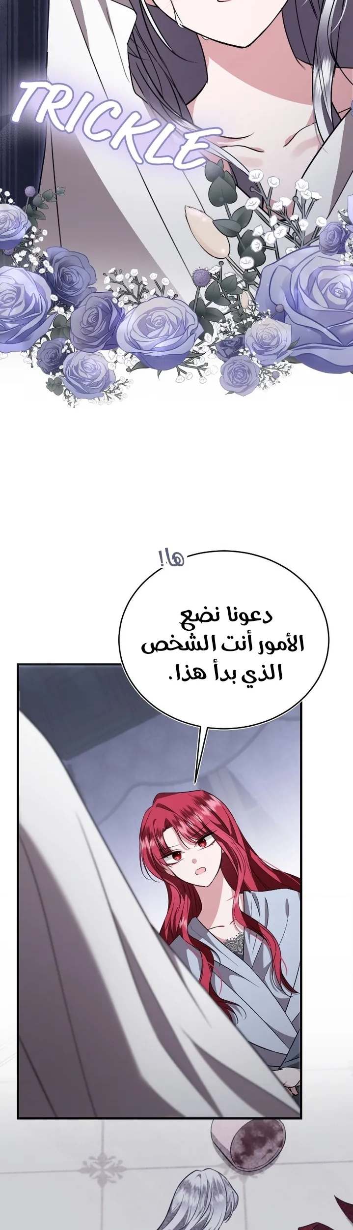 الصفحة 20