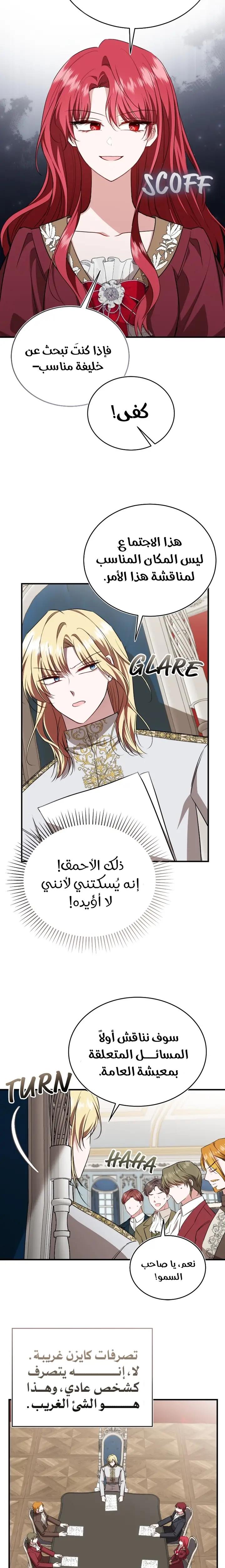 الصفحة 17