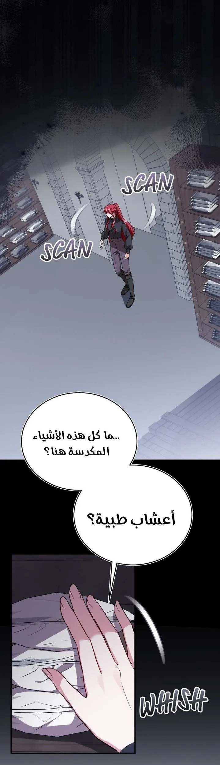 الصفحة 27