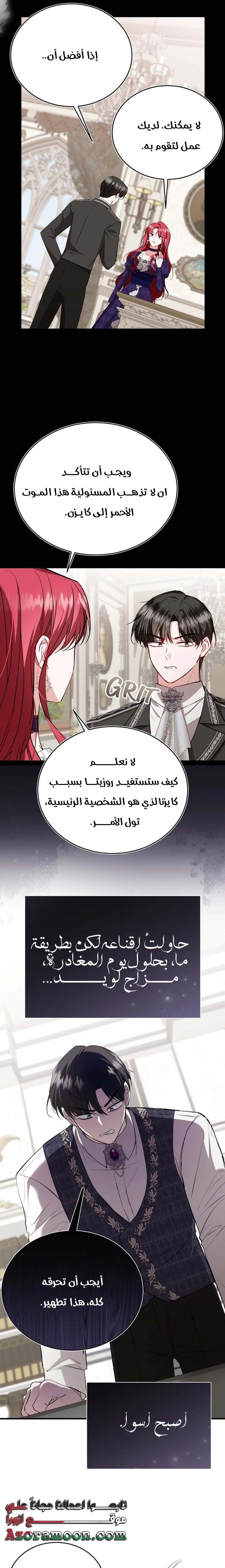 الصفحة 17