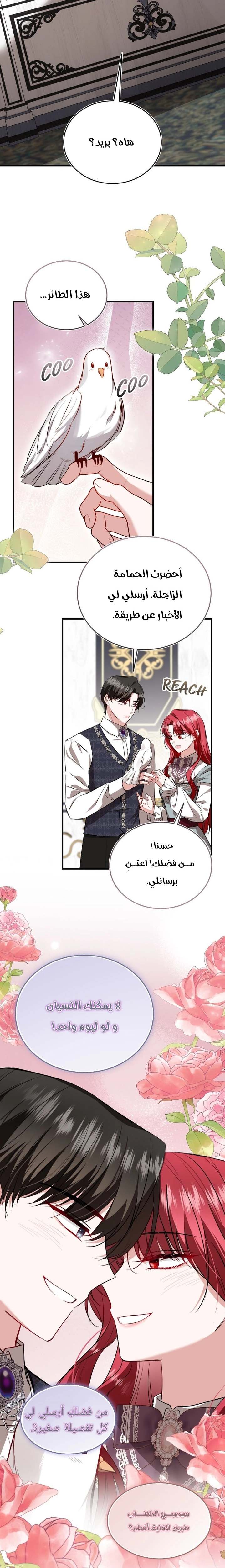 الصفحة 20